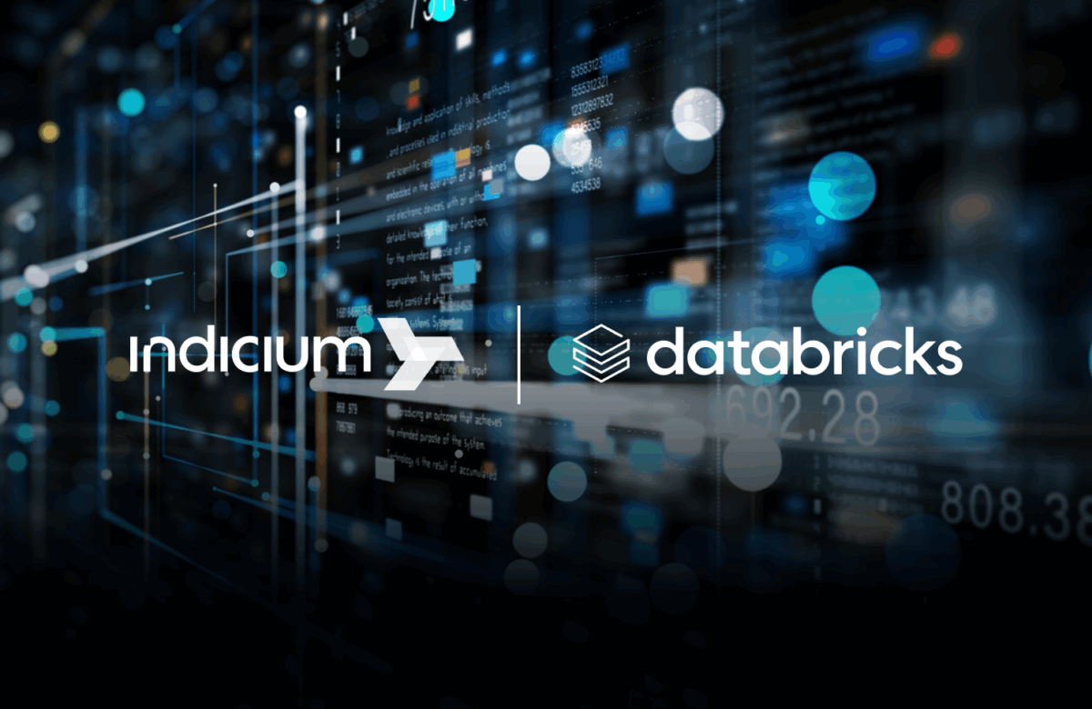 FSI Portfolio Intelligence: 50% Efficiency Gain with Indicium and Databricks