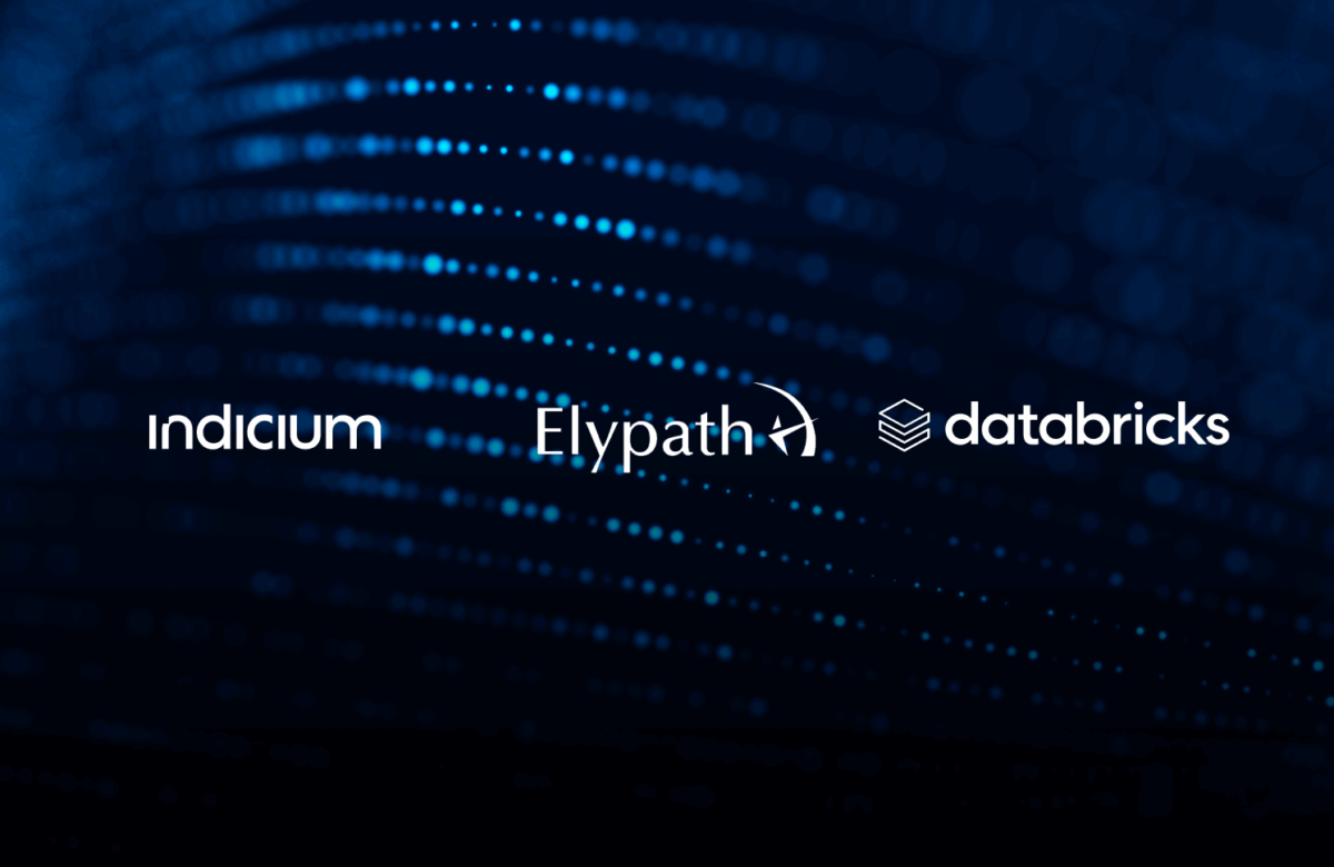 FSI Portfolio Intelligence: Elypath’s 50% Efficiency Gain with Indicium and Databricks